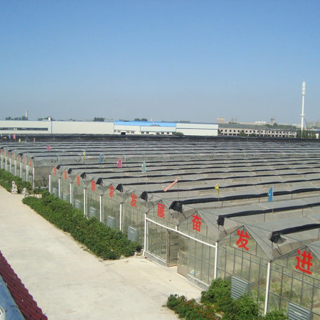 濟(jì)寧協(xié)創(chuàng)商貿(mào)